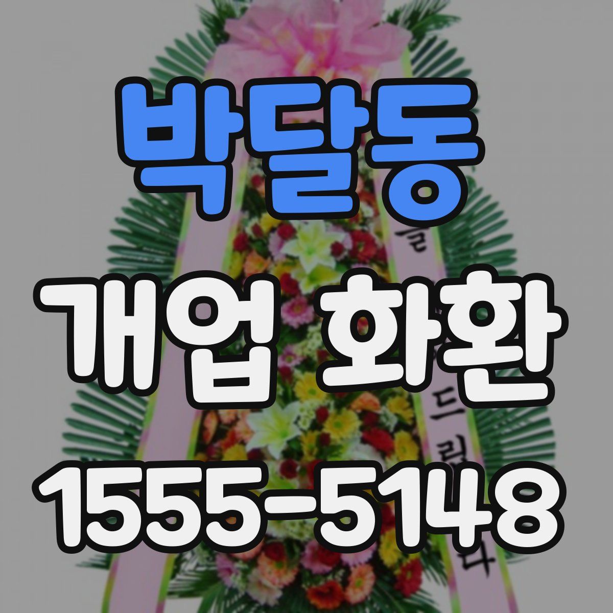박달동 개업 화환