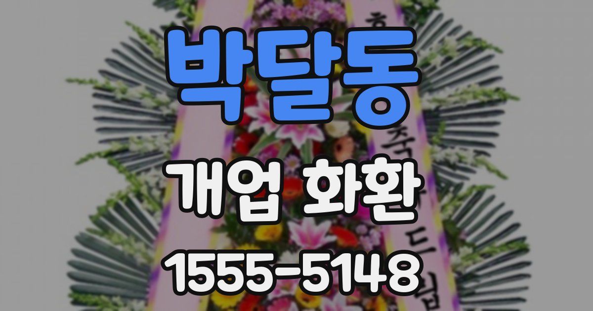 박달동 개업 화환