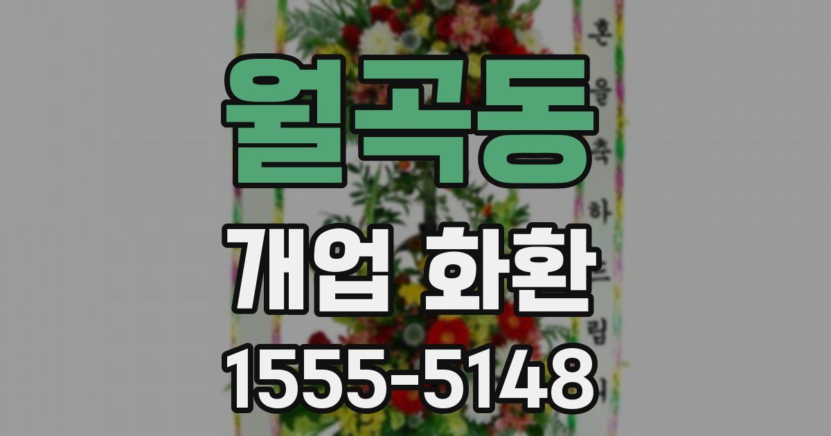 월곡동 개업 화환
