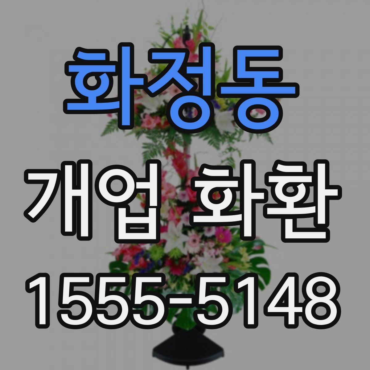 화정동 개업 화환