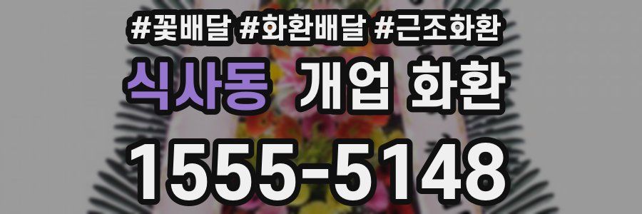 식사동 개업 화환