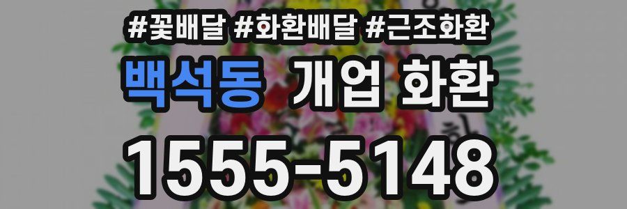 백석동 개업 화환