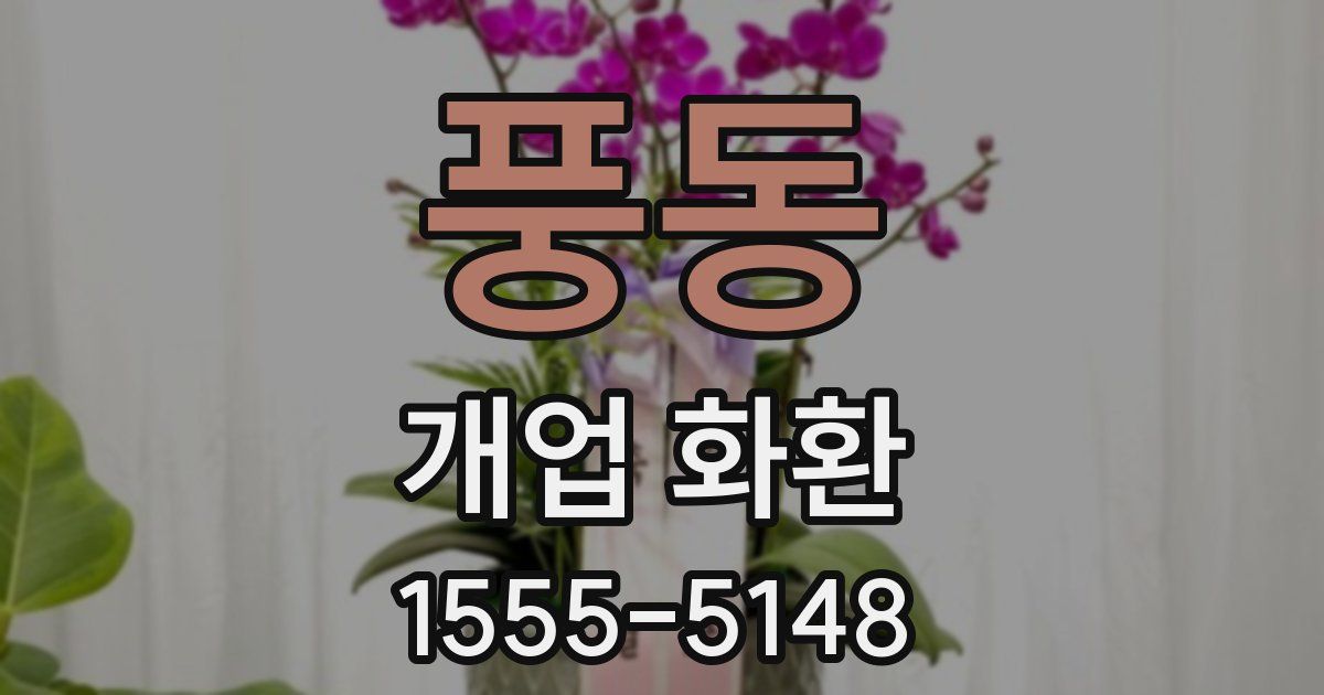 풍동 개업 화환