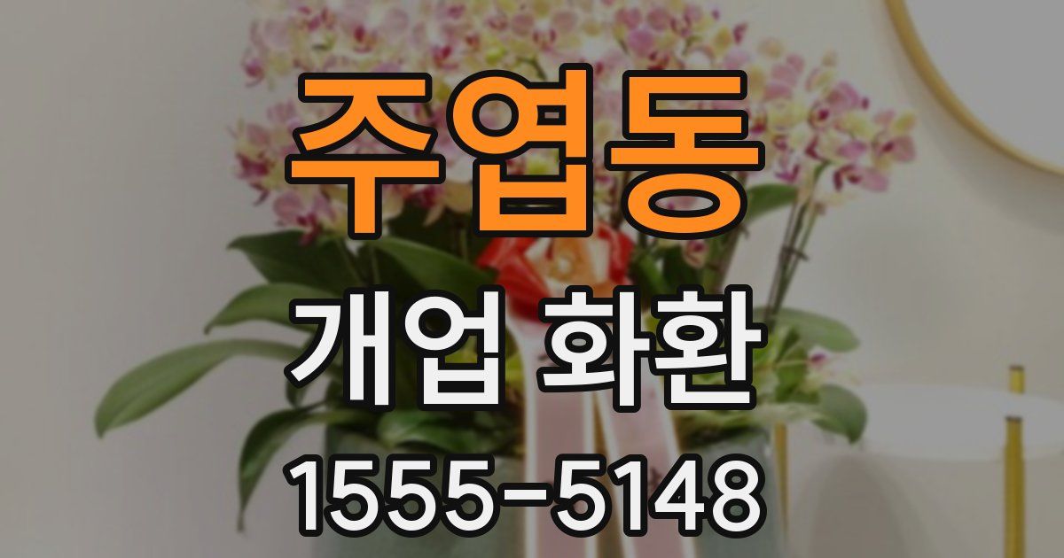 주엽동 개업 화환