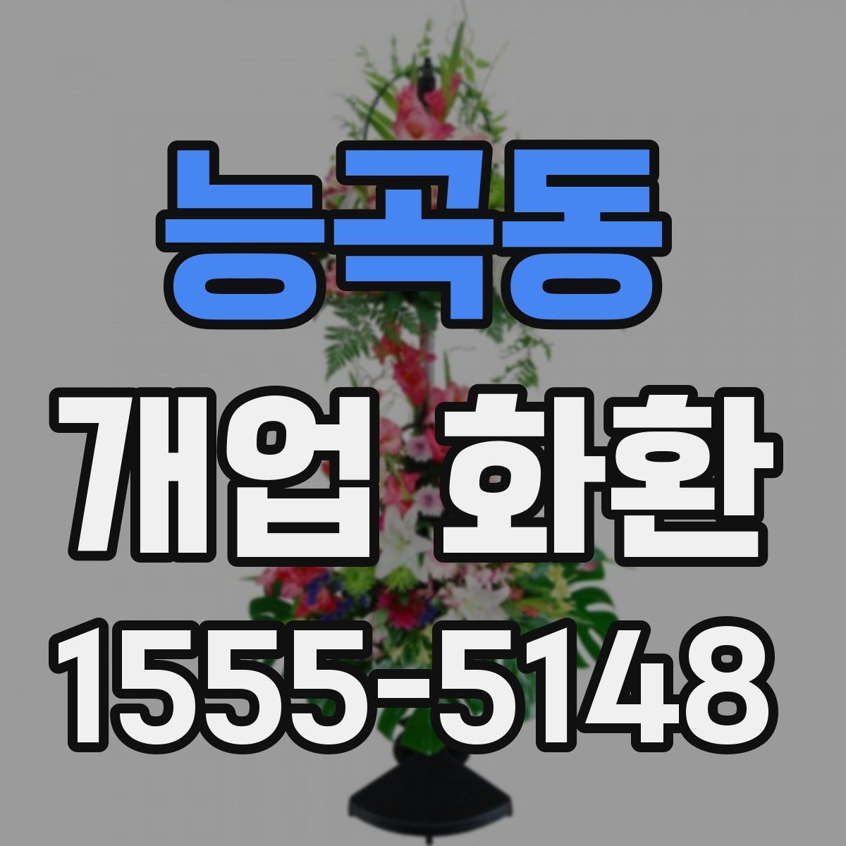 능곡동 개업 화환 식물 상태를 확인하는 기준