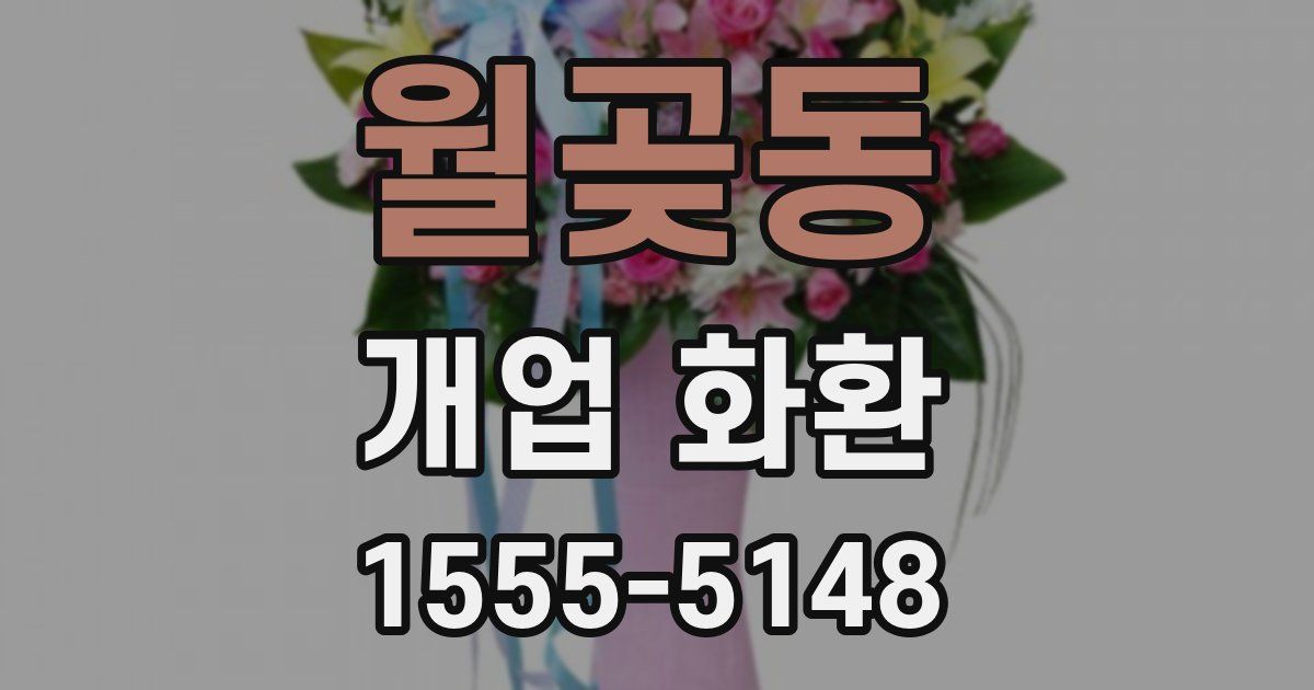월곶동 개업 화환