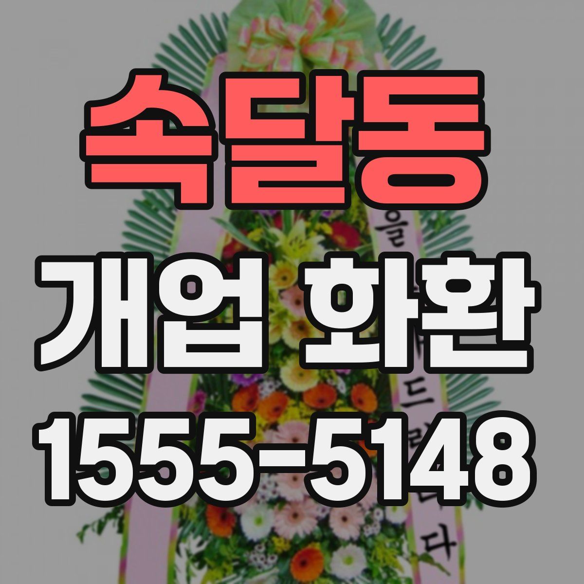속달동 개업 화환