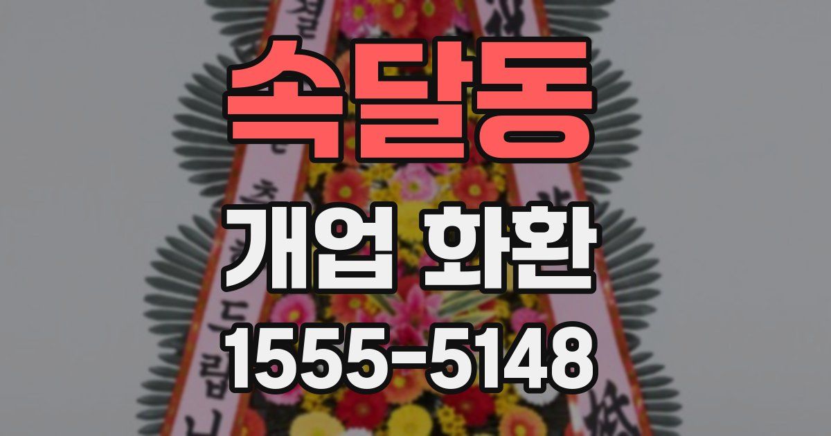 속달동 개업 화환