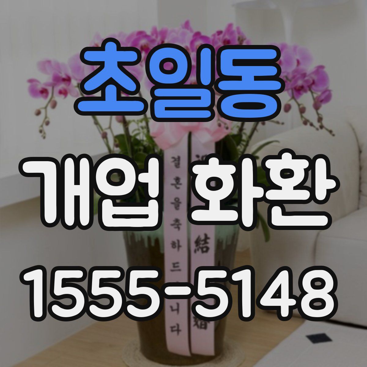 초일동 개업 화환
