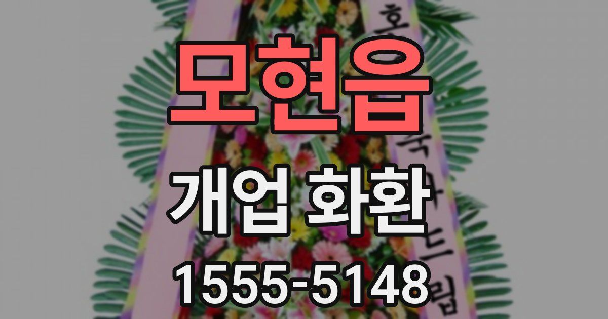 모현읍 개업 화환