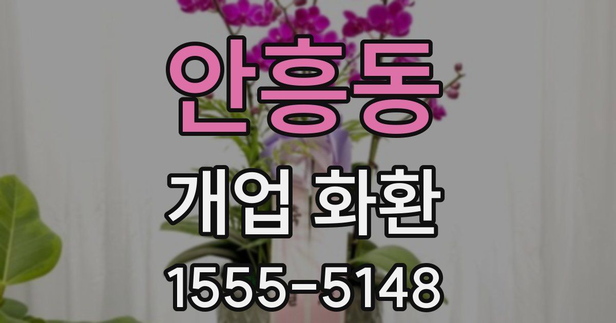 안흥동 개업 화환