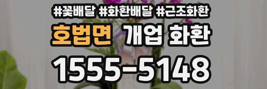 호법면 개업 화환