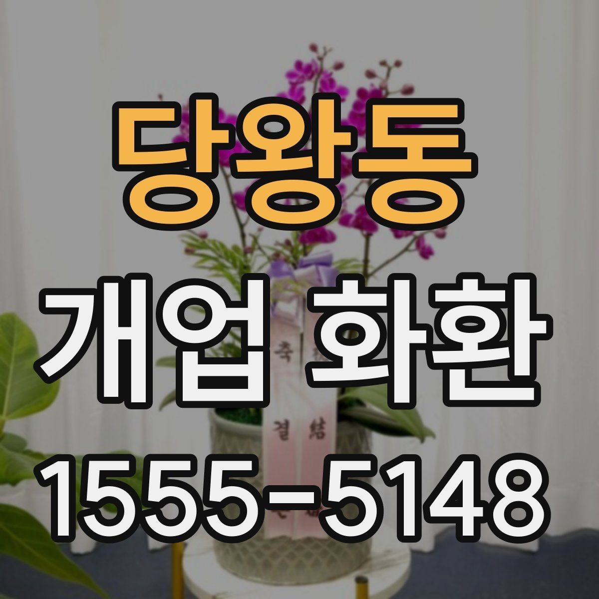 당왕동 개업 화환 계절에 따라 달라지는 관리 포인트