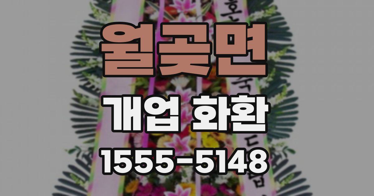 월곶면 개업 화환