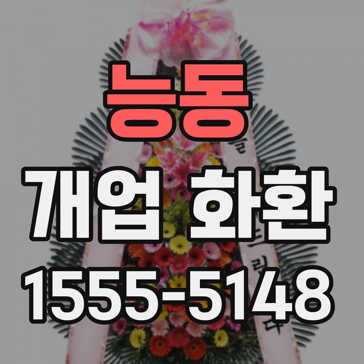 능동 개업 화환