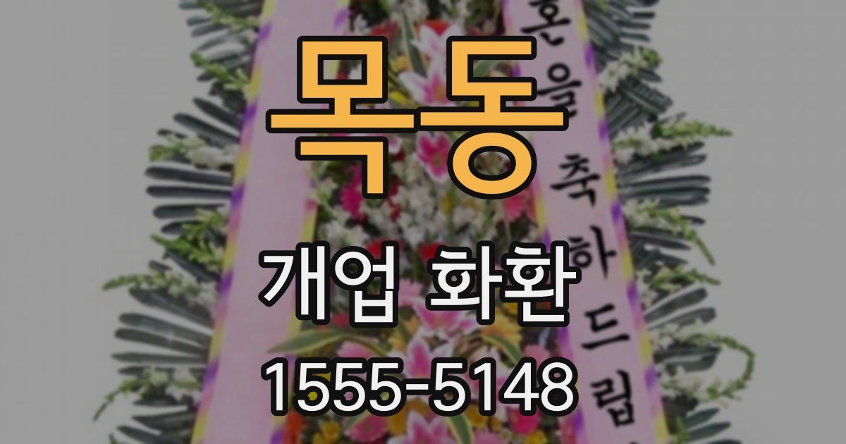 목동 개업 화환