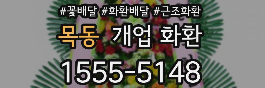 목동 개업 화환