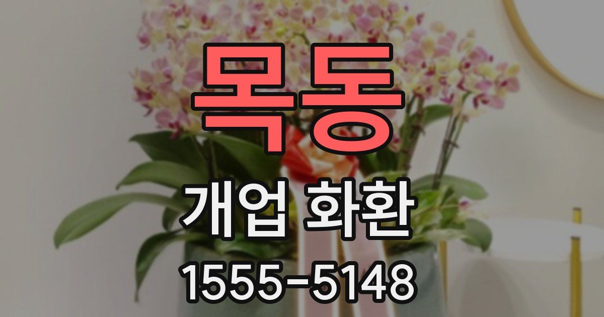 목동 개업 화환