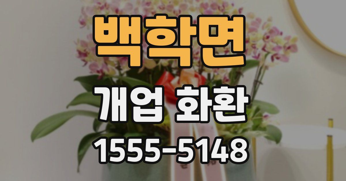 백학면 개업 화환