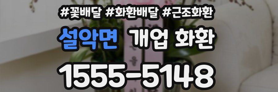 설악면 개업 화환