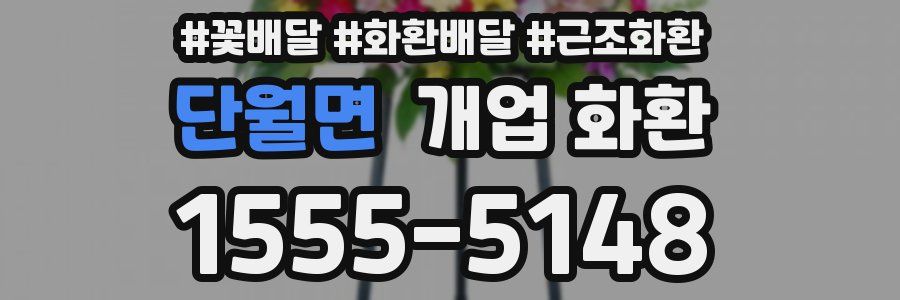단월면 개업 화환