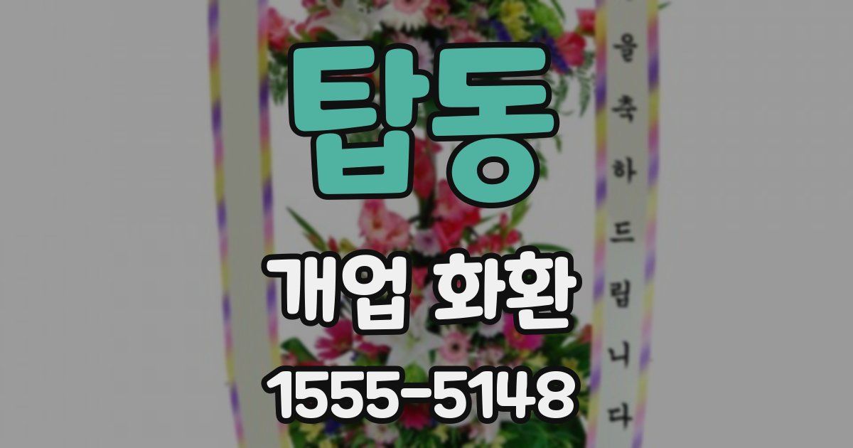 탑동 개업 화환
