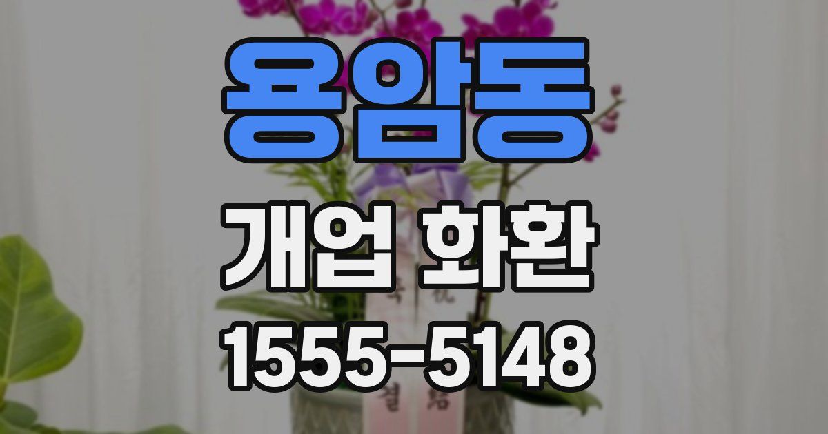 용암동 개업 화환