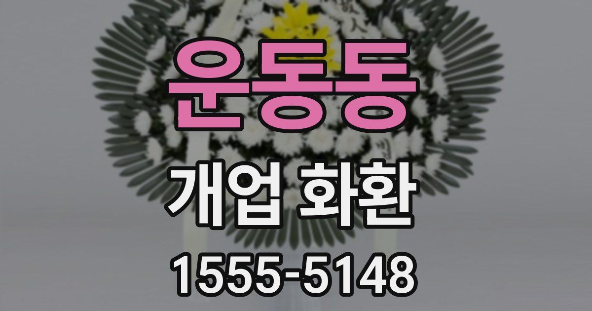 운동동 개업 화환