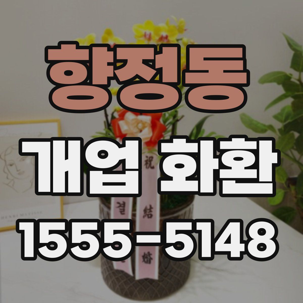 향정동 개업 화환