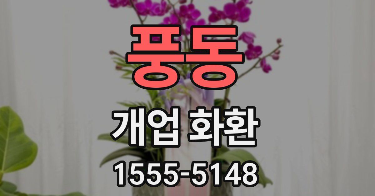 풍동 개업 화환