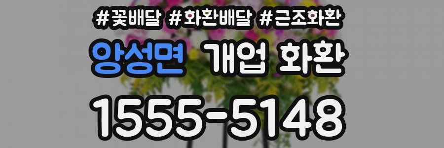 앙성면 개업 화환
