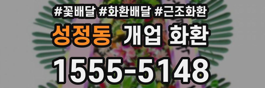 성정동 개업 화환