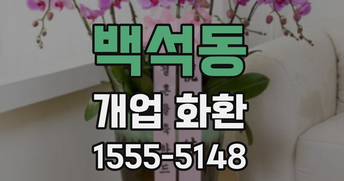 백석동 개업 화환