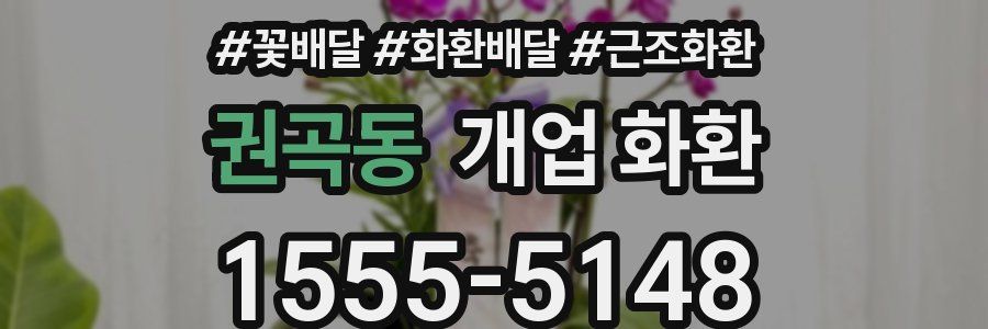 권곡동 개업 화환