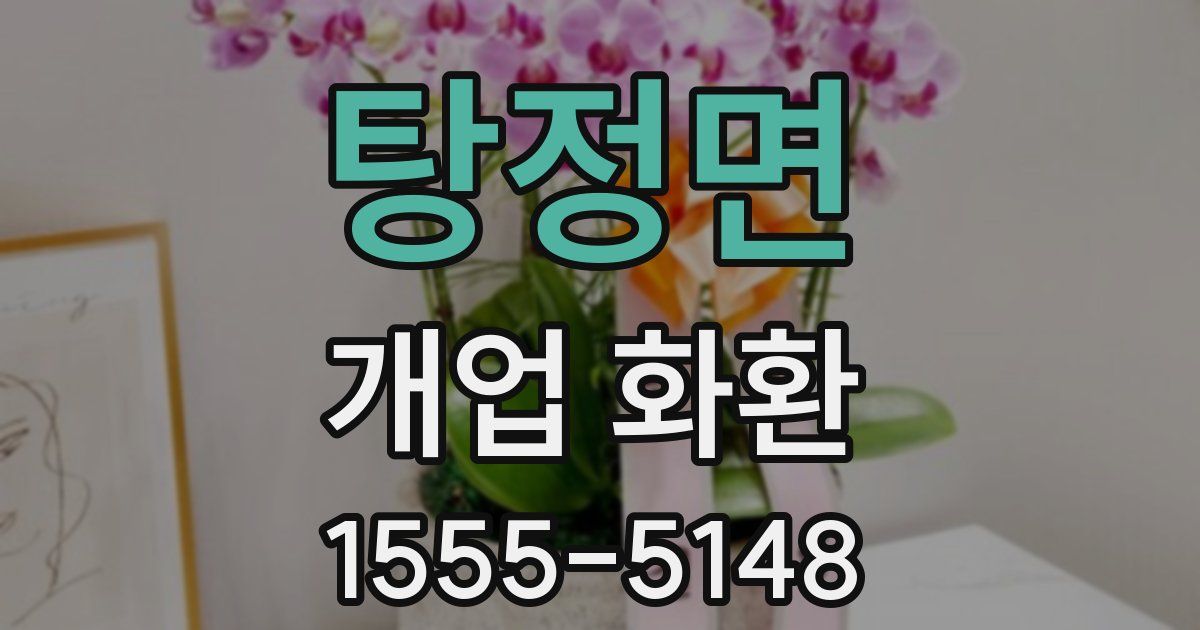 탕정면 개업 화환