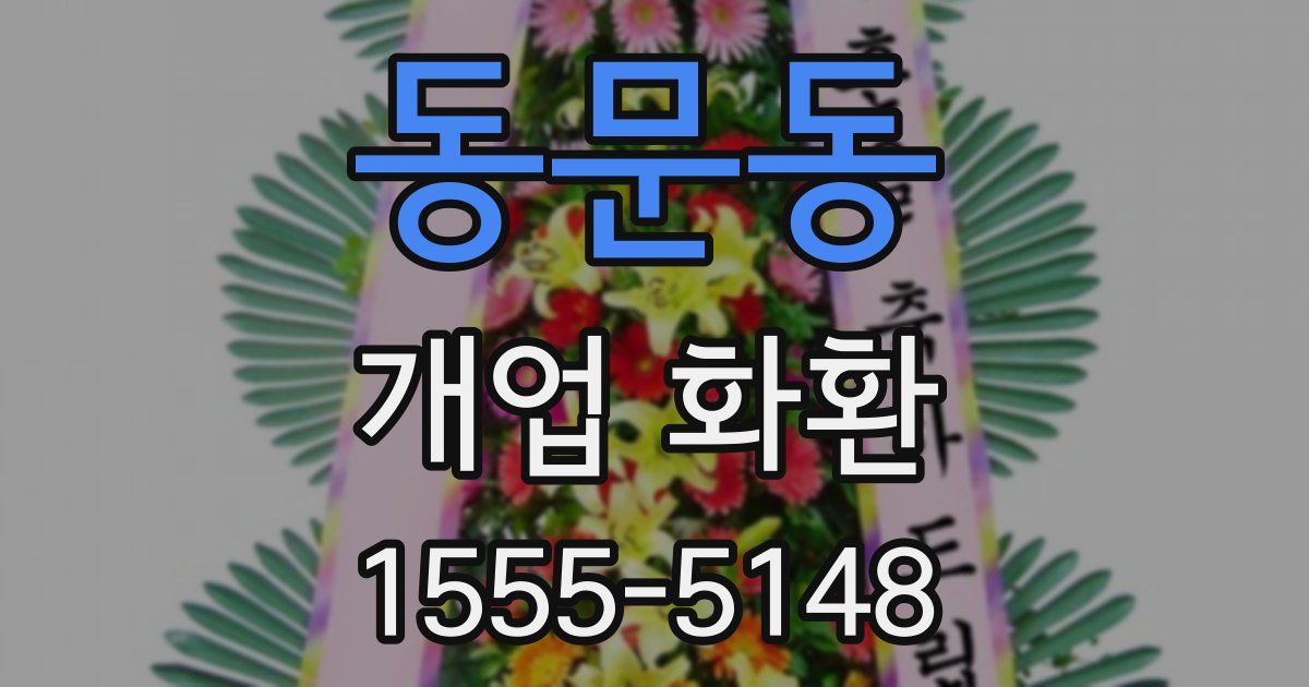 동문동 개업 화환