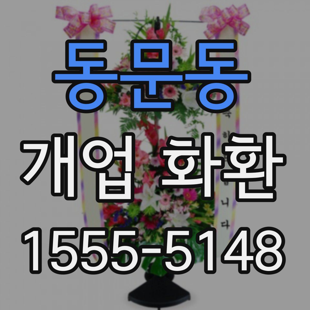 동문동 개업 화환