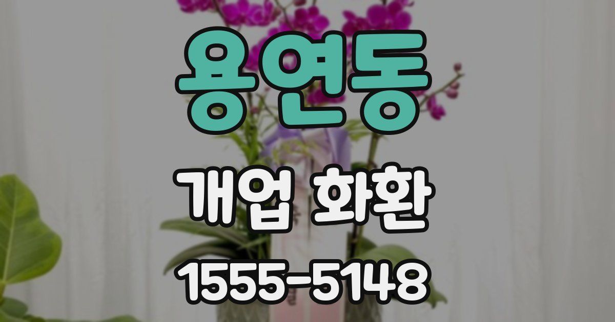 용연동 개업 화환