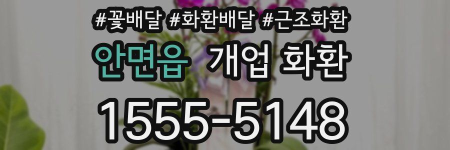 안면읍 개업 화환