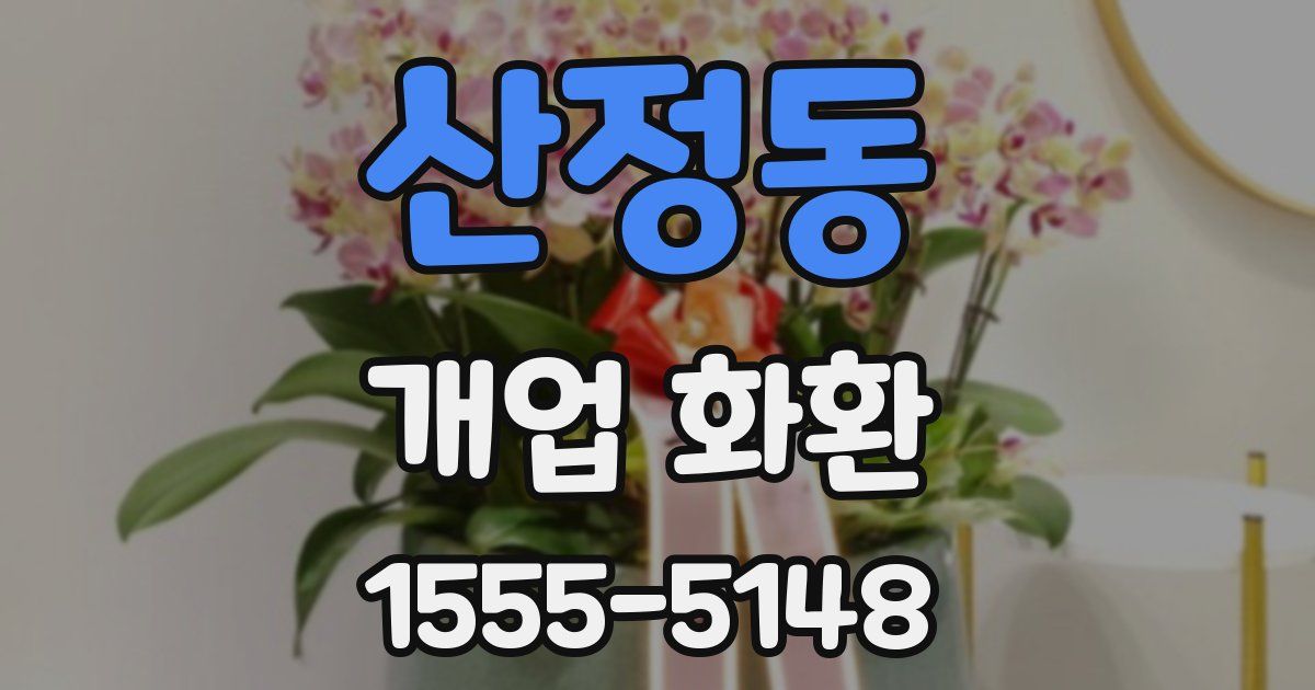 산정동 개업 화환