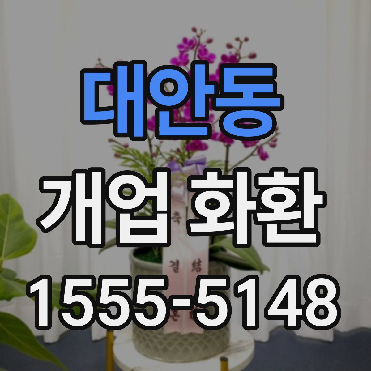 대안동 개업 화환