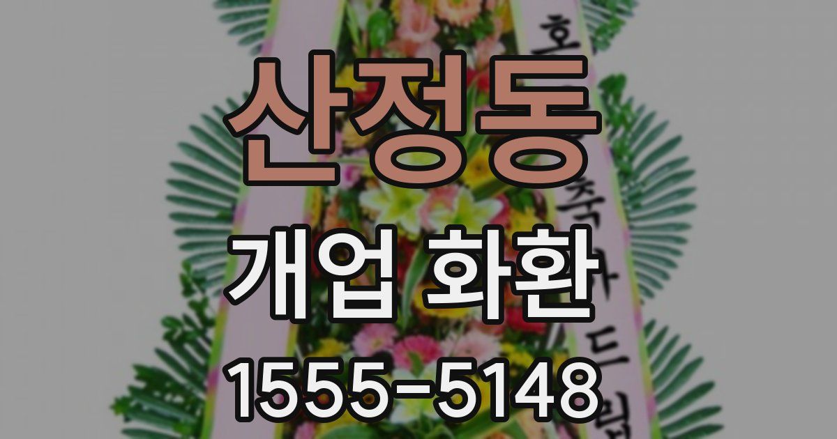 산정동 개업 화환