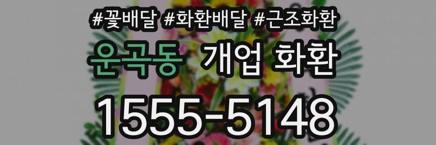 운곡동 개업 화환