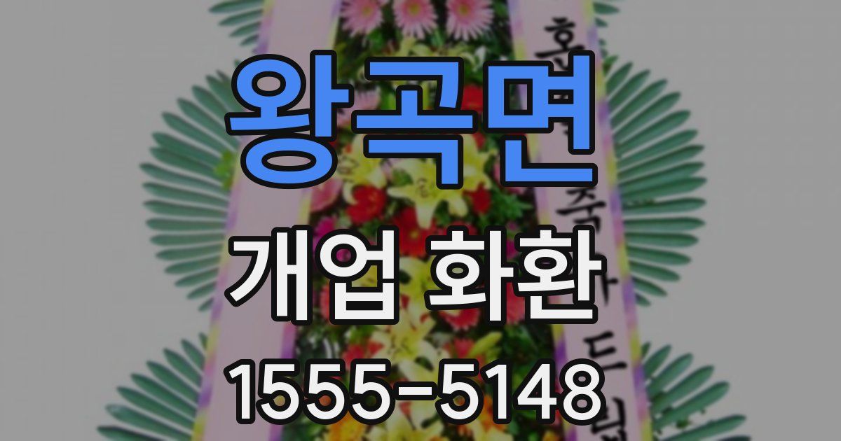왕곡면 개업 화환