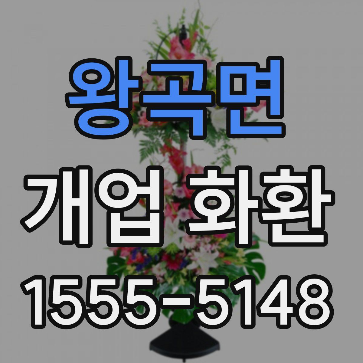 왕곡면 개업 화환