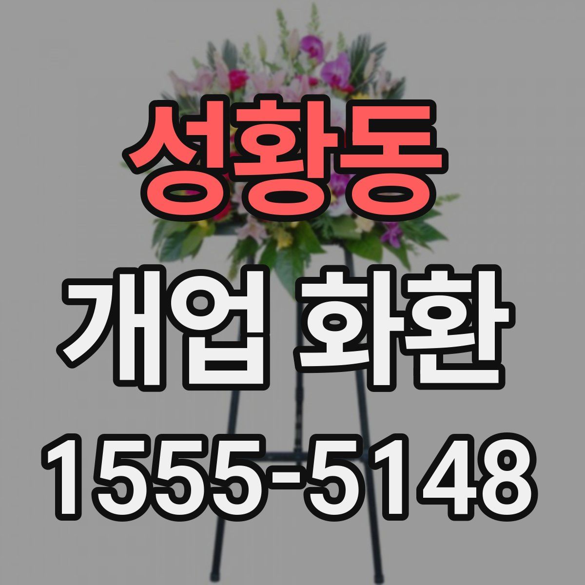 성황동 개업 화환