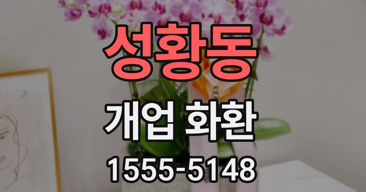 성황동 개업 화환