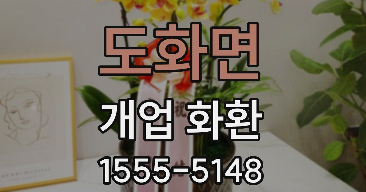 도화면 개업 화환