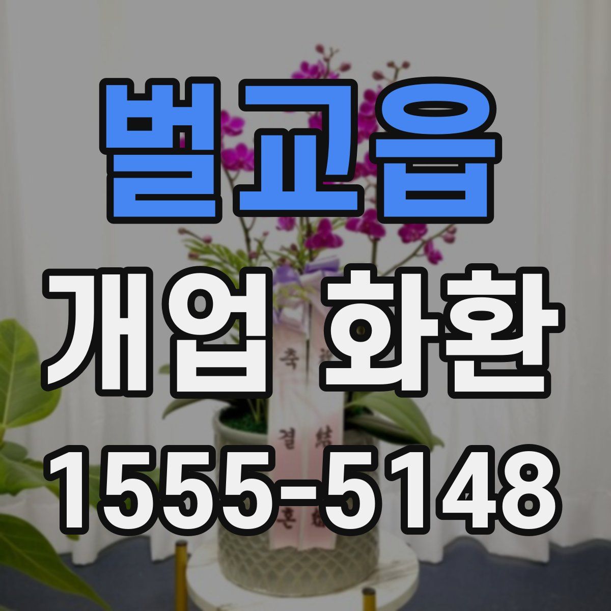 벌교읍 개업 화환