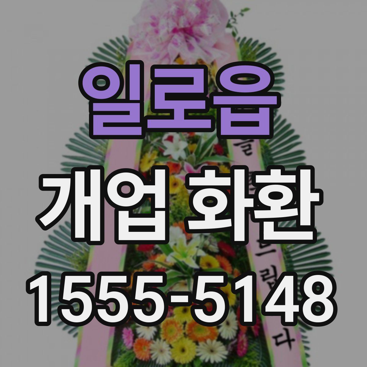 일로읍 개업 화환